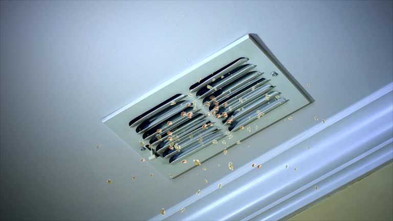 Best Emergency Air Duct Cleaning  in Mansfield, LA