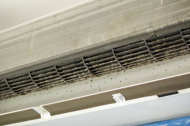 Best General Air Duct Cleaning  in Mansfield, LA